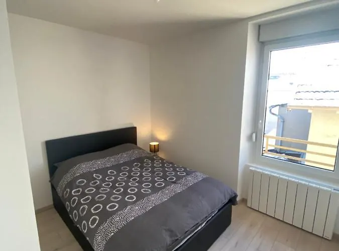 Res. La Balastiere Des Vosges * Golbey